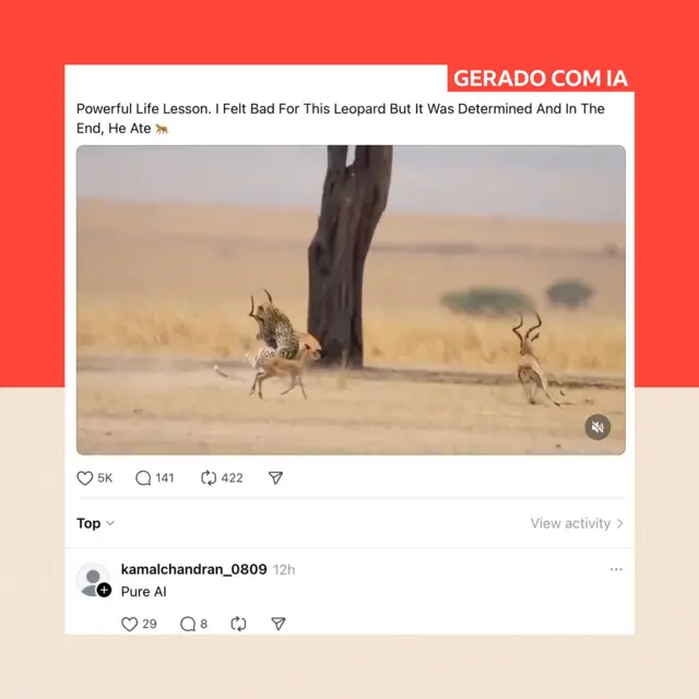 Imagem gerada por inteligência artificial, publicada no Facebook, mostrando uma falsa caçada de leopardo; abaixo, um comentarista escreve “Pura IA”