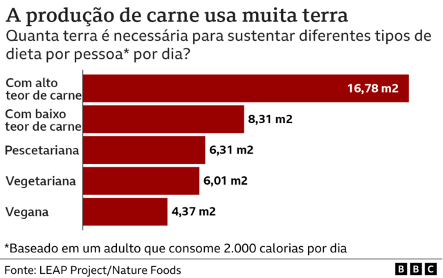 Gráfico mostra quanta terra é necessária para diferentes tipossite 365 betdieta por pessoa por dia