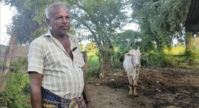 இலங்கை ஜல்லிக்கட்டு