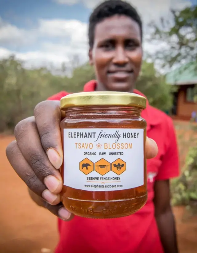 En plus de dissuader les éléphants, les clôtures de ruches peuvent aider les agriculteurs à obtenir un revenu supplémentaire en vendant du miel. 