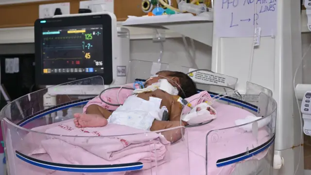 తిరుపతి, తిరుమల, టీటీడీ, పద్మావతి హృదయాలయం, ఆంధ్రప్రదేశ్