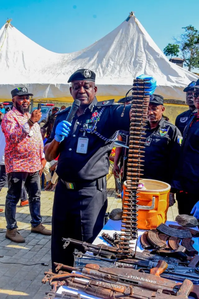 Arms impounded by the police
