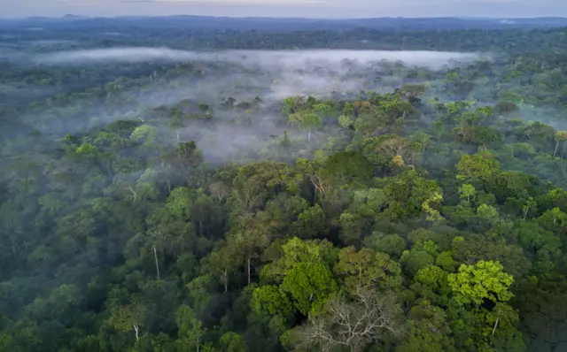 Floresta Amazônica