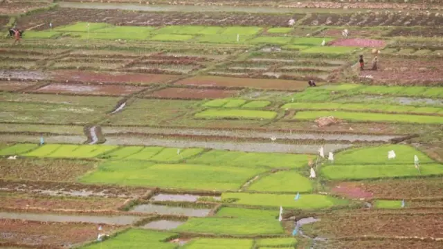 हदबन्दीभन्दा बढी जग्गा पाइएमा सरकारको नाममा जान्छ