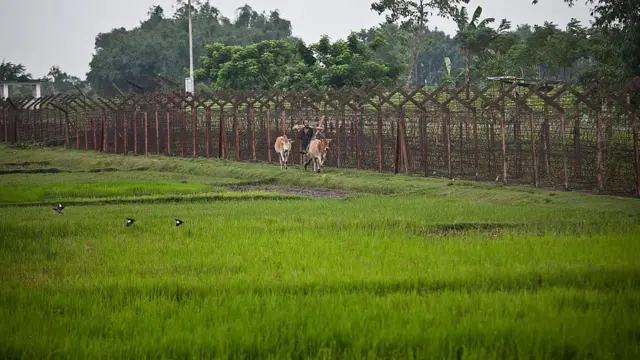 இந்தியா - வங்கதேசம், எல்லையில் பதற்றம் 