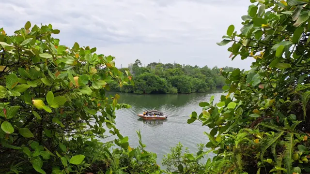 වෙනදාට වඩා ජල මට්ටම ඉහළ ගොස් තිබූ කොග්ගල ඔයේ ජලය එදින අඳුරු පැහැයකින් දිස්වුණි. 
