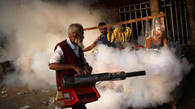 বিজ্ঞানীরা বলছেন মশার আচরণ অনুযায়ী মশক নিয়ন্ত্রণ কর্মসূচি সাজাতে হবে।