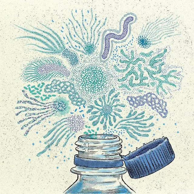 Ilustração de uma garrafa de plástico. 