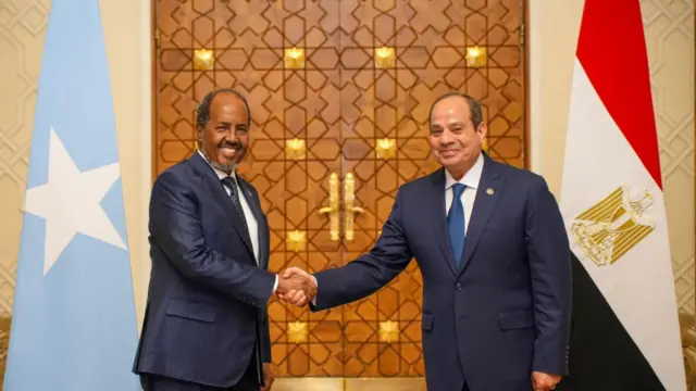 የሶማሊያ ፕሬዝዳንት ሀሰን ሼክ ሞሃመድ እና የግብፅ ፕሬዝዳንት አብዱልፈታ አልሲሲ