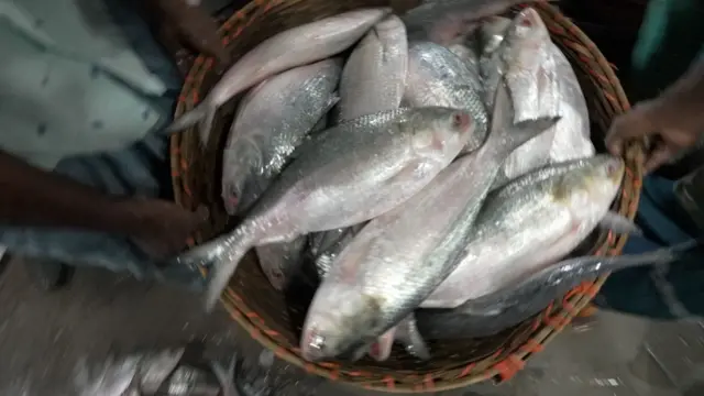 এক কেজি ওজনের নদীর ইলিশের দাম কেজি প্রতি ১৯শ টাকায় উঠেছে