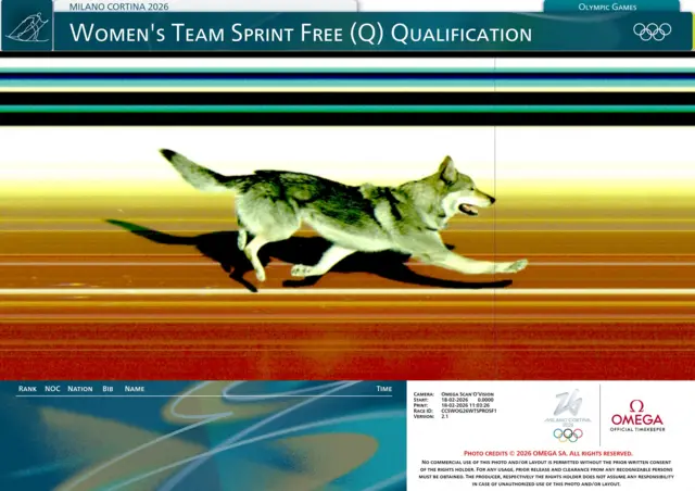 Foto-finiš kamera snimila je psa kako prelazi ciljnu liniju nakon što je utrčao na stazu tokom takmičenja u nordijskom skijanju