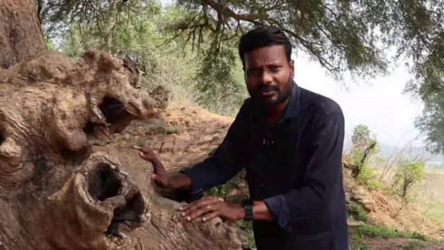 બીબીસી ગુજરાતી આંધ્ર પ્રદેશ તેલુગુ ઝાડ આદિવાસી રાક્ષસ વાઘ દીપડો