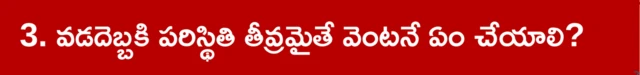ఆంధ్రప్రదేశ్, వేసవికాలం, వడదెబ్బ