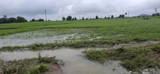 మహబూబాబాద్ జిల్లా