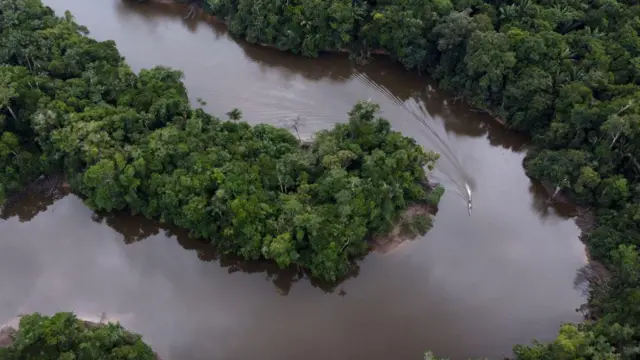  అమెజాన్ అడవులు, పర్యావరణం, కార్బన్ డై ఆక్సైడ్, వాతావరణం