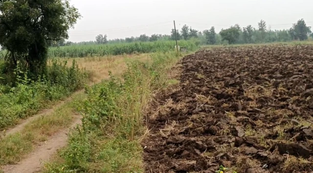 પીડિતા ભાગવા ગઈ ત્યારે પડી ગયાં હતાં. જે બાદ તેનું અપહરણ કરીને તેના પર ગૅંગરેપ થયાની પોલીસ ફરિયાદ થઈ છે.