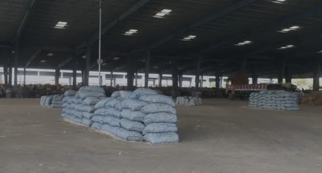 ગુજરાતમાં ચાઇનીઝ લસણનો વિરોધ, લસણ, રાજકોટ, ખેડૂતો
