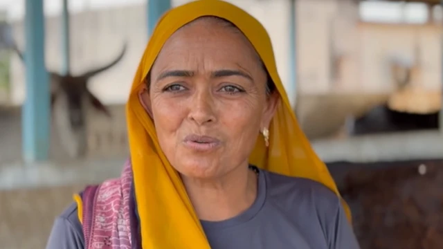 બીબીસી ગુજરાતી ગોબરગેસ, પ્લાન્ટ, ગોબરગેસ પ્લાન્ટ કેવી રીતે કામ કરે, એલપીજી અછત