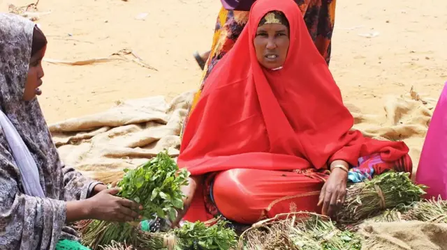 Les feuilles fraîches du khat restent très populaires en Somalie