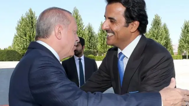 أردوغان وتميم