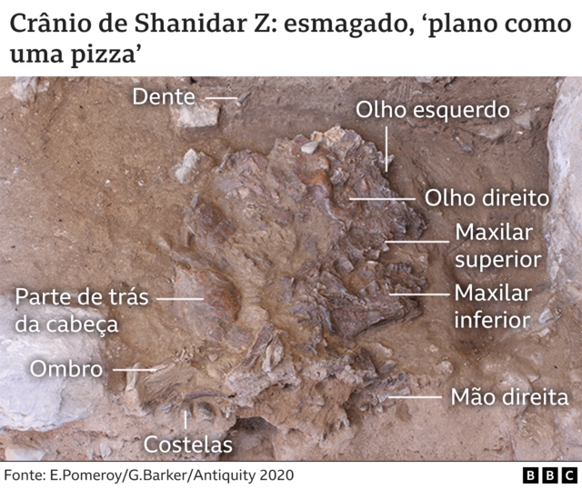 Infográfico mostra partes do esqueleto encontradas na escavação