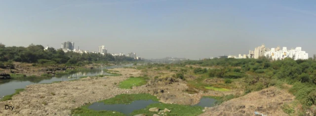 मुळा मुठा