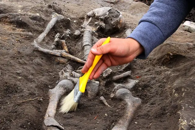 ویمپائر، بلغاریہ