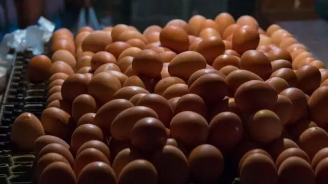 নতুন করে ডিম আমদানির অনুমতি দিয়েছে সরকার