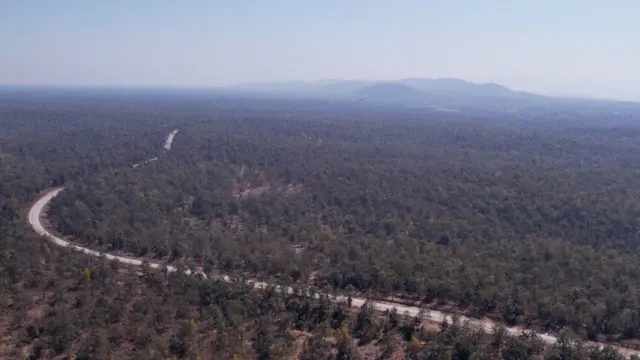 હસદેઓ જંગલ 170 ચોરસ કિલોમીટર વિસ્તારમાં ફેલાયેલું છે અને તે “છત્તીસગઢનાં ફેફસાં” તરીકે ઓળખાય છે