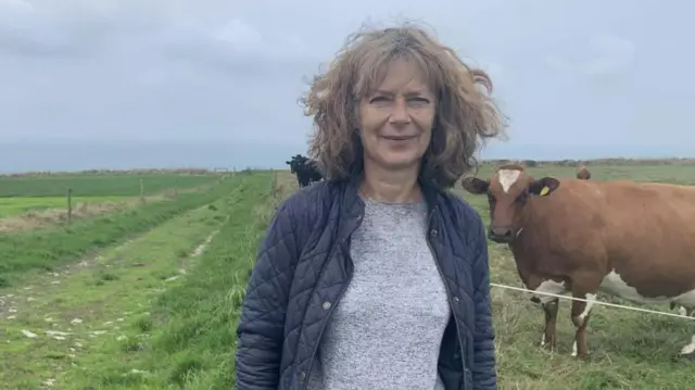 सू वॉर्नर 