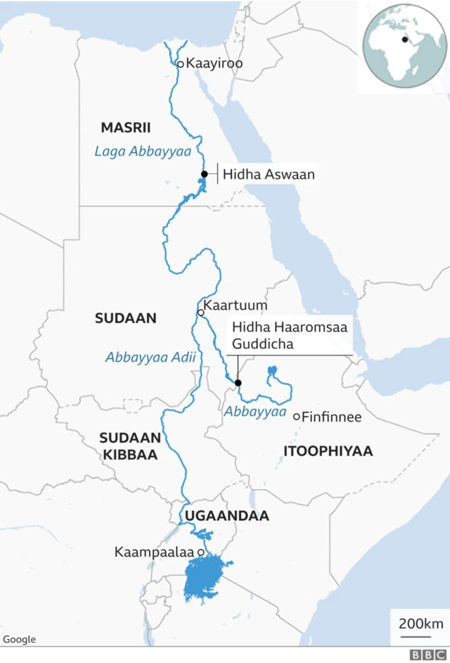 Garaagarummaa Naayil Adii (White Nile) fi Abbayyaa
