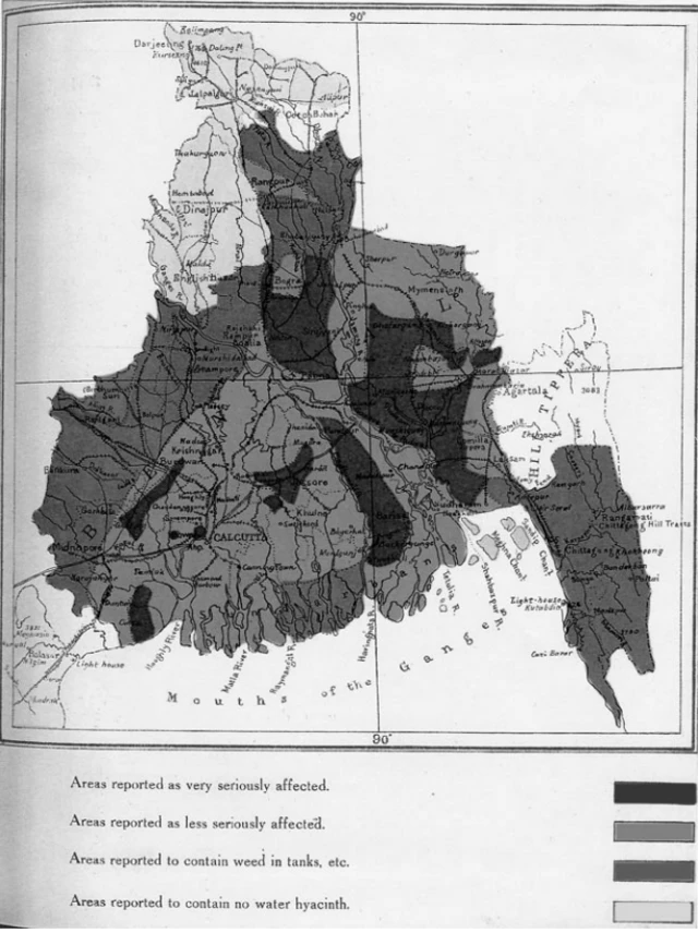 কচুরিপানার কারণে ক্ষতিগ্রস্ত এলাকাগুলো মানচিত্রে চিহ্নিত করা হয়েছে।