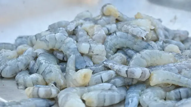 రొయ్యలు