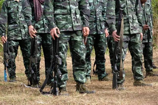 ထားဝယ်ခရိုင်ထဲကဒေသကာကွယ်ရေးတပ်ဖွဲ့များ 