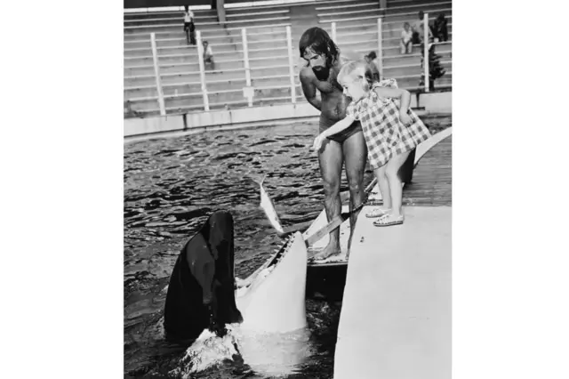 Fotoapostando no betanopreto e branco mostra criança jogando peixe para a baleia