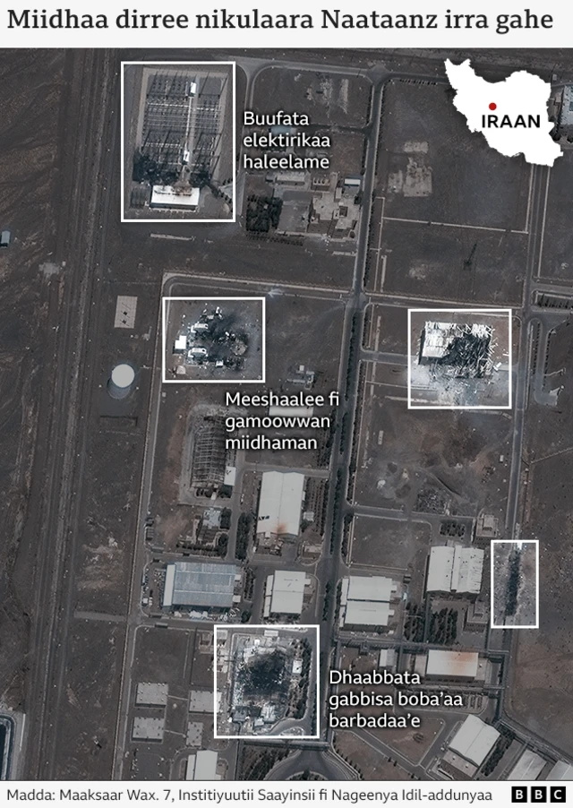 Suuraa saatalaayitii buufataalee nukilaraa haleelaman agarsiisu