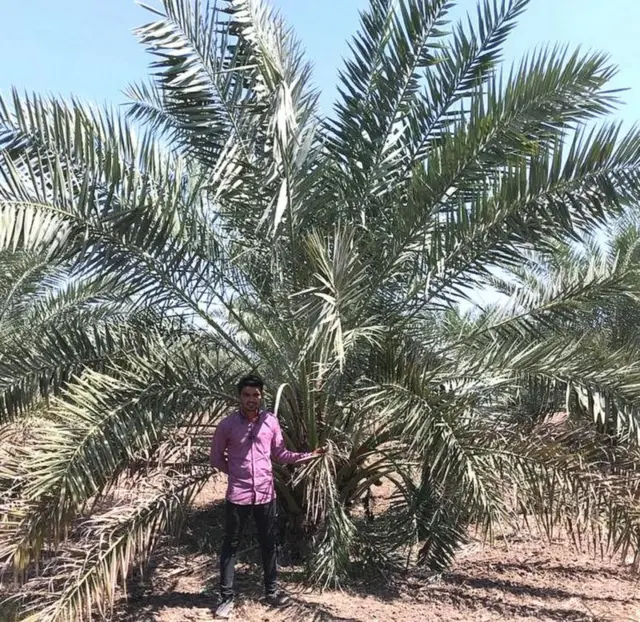 ઍગ્રિકલ્ચર એન્જિનિયરિંગમાં ડિપ્લોમા કર્યા વિવેક ખેતીમાં પ્રયોગ કરી રહ્યા છે