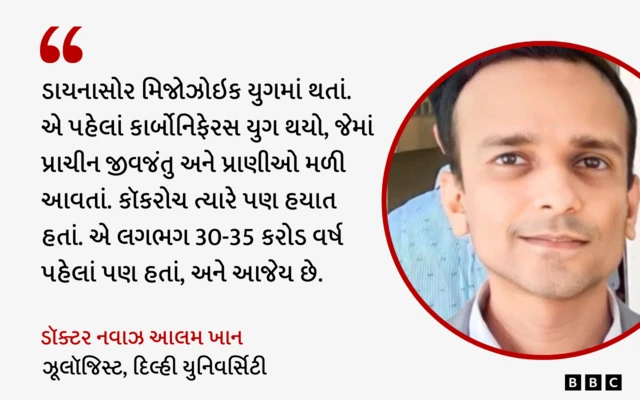 બીબીસી ગુજરાતી, ગુજરાત, બીબીસી, અમદાવાદ, કૉકરોચ, 