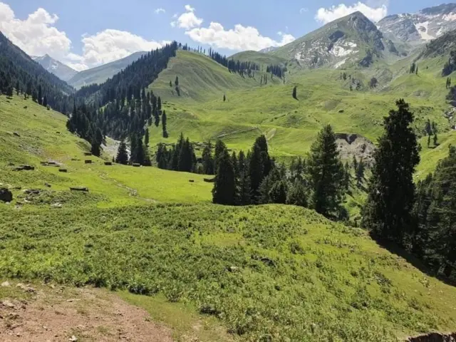 नसीरुद्दीन