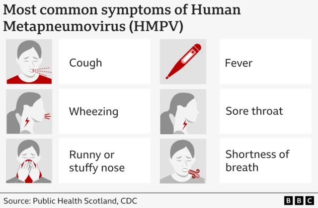 Aworan to n ṣalaye awọn apẹẹrẹ arun HMPV.