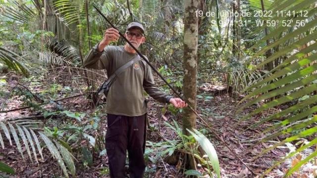 Homem branco idoso segura cipó em frente a árvore na floresta