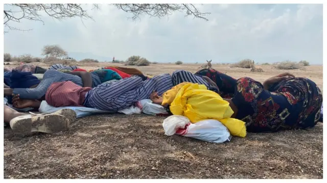 በጌሄሬ በየዛፍ ጥላው ስር ስደተኞች ተኝተው ይታያሉ