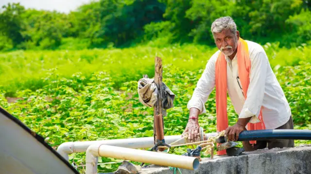 प्रातिनिधिक फोटो