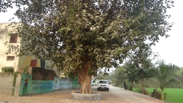 ਰੁੱਖਾਂ ਲਈ ਪੈਨਸ਼ਨ