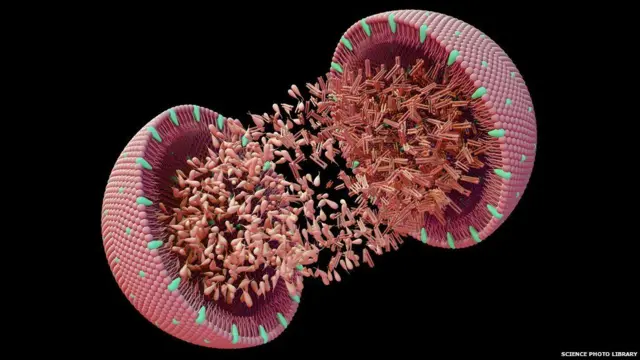 ኮለስትሮል ስምዓዊ ዘይቲ ሓዘል ነገር’ዩ