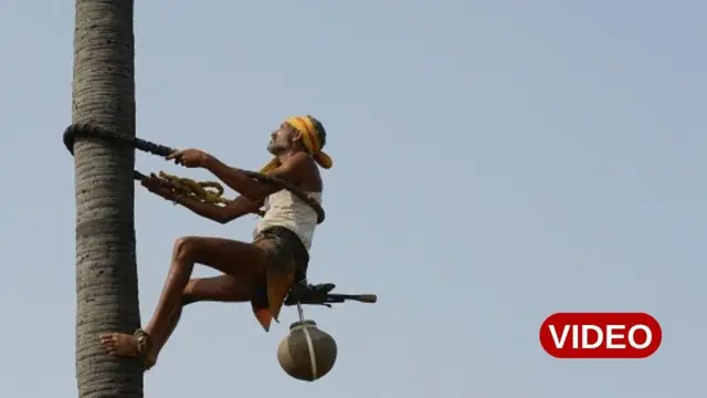 తమిళనాడు, కల్లు, భారత్,మద్యనిషేధం