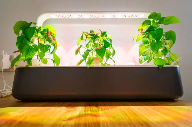 Indoor growing kit