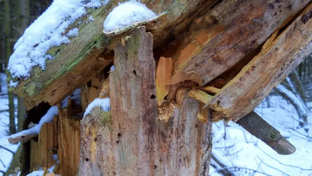 Крупным планом