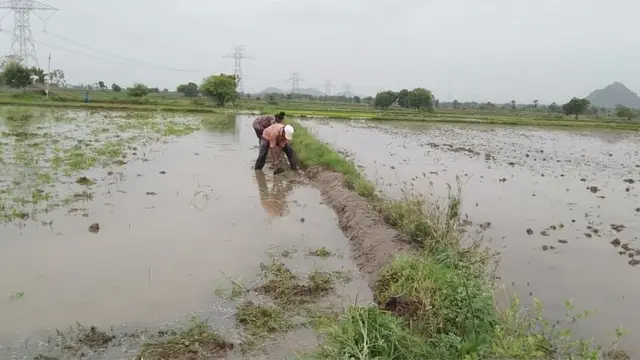 పొలం పనులు