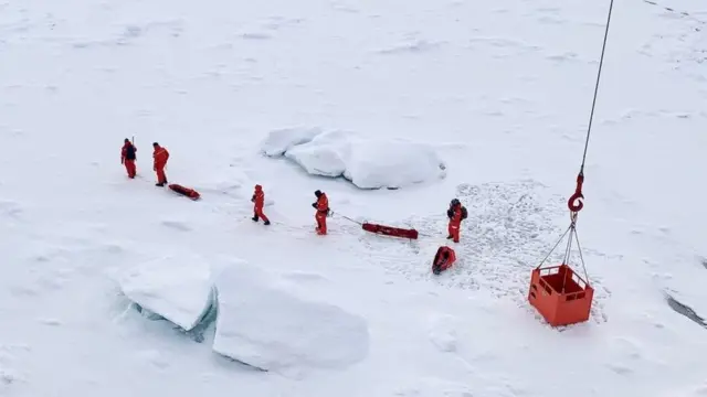 आर्कटिक